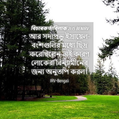 Picture 04 - বিচাৰকর্তাবিলাক 21:15 BENIRV - আর সদাপ্রভু - Bible Verse Picture