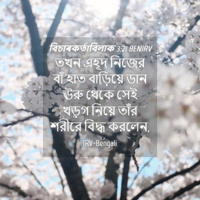 Picture 04 - বিচাৰকর্তাবিলাক 3:21 BENIRV - তখন এহূদ নিজের বাঁ - Bible Verse Picture