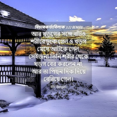 Picture 04 - বিচাৰকর্তাবিলাক 3:22 BENIRV - আর খড়গের সঙ্গে - Bible Verse Picture