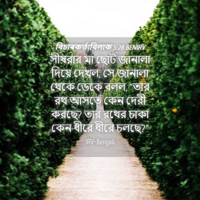 Picture 04 - বিচাৰকর্তাবিলাক 5:28 BENIRV - সীষরার মা ছোট - Bible Verse Picture