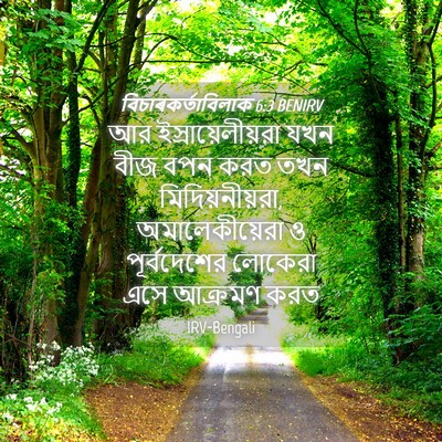 Picture 04 - বিচাৰকর্তাবিলাক 6:3 BENIRV - আর ইস্রায়েলীয়রা - Bible Verse Picture