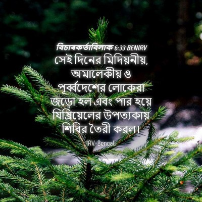Picture 04 - বিচাৰকর্তাবিলাক 6:33 BENIRV - সেই দিনের - Bible Verse Picture