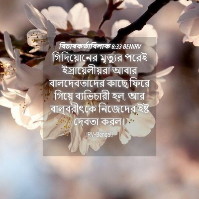 Picture 04 - বিচাৰকর্তাবিলাক 8:33 BENIRV - গিদিয়োনের - Bible Verse Picture