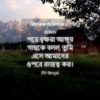 Picture 04 - বিচাৰকর্তাবিলাক 9:12 BENIRV - পরে বৃক্ষরা - Bible Verse Picture