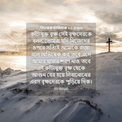 Picture 04 - বিচাৰকর্তাবিলাক 9:15 BENIRV - কাঁটাযুক্ত বৃক্ষ - Bible Verse Picture