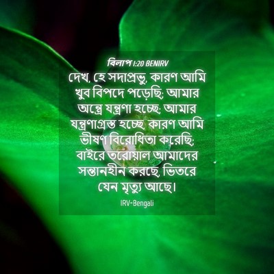 Picture 04 - বিলাপ 1:20 BENIRV - দেখ, হে সদাপ্রভু, - Bible Verse Picture