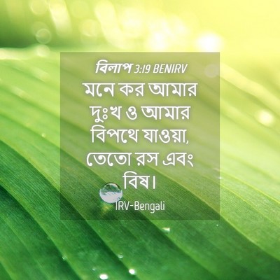 Picture 04 - বিলাপ 3:19 BENIRV - মনে কর আমার দুঃখ ও - Bible Verse Picture