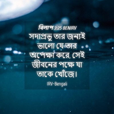 Picture 04 - বিলাপ 3:25 BENIRV - সদাপ্রভু তার - Bible Verse Picture