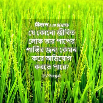 Picture 04 - বিলাপ 3:39 BENIRV - যে কোনো জীবিত লোক - Bible Verse Picture