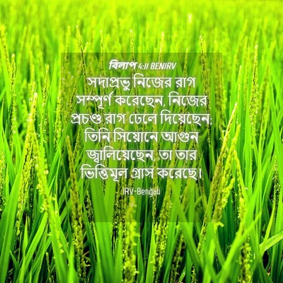Picture 04 - বিলাপ 4:11 BENIRV - সদাপ্রভু নিজের - Bible Verse Picture
