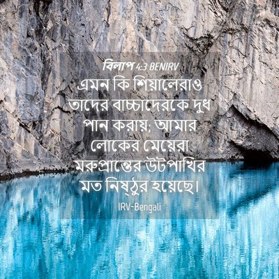Picture 04 - বিলাপ 4:3 BENIRV - এমন কি শিয়ালেরাও - Bible Verse Picture