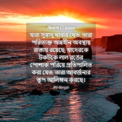 Picture 04 - বিলাপ 4:5 BENIRV - যারা সুস্বাদু - Bible Verse Picture