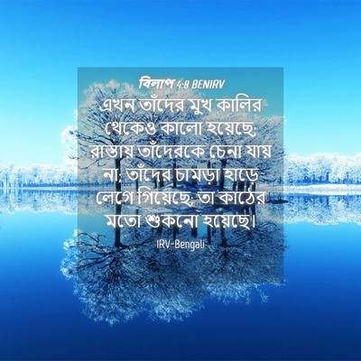 Picture 04 - বিলাপ 4:8 BENIRV - এখন তাঁদের মুখ - Bible Verse Picture