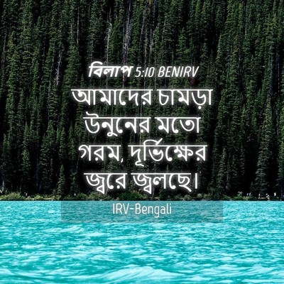Picture 04 - বিলাপ 5:10 BENIRV - আমাদের চামড়া - Bible Verse Picture