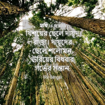 Picture 04 - মথি 1:6 BENIRV - যিশয়ের ছেলে - Bible Verse Picture