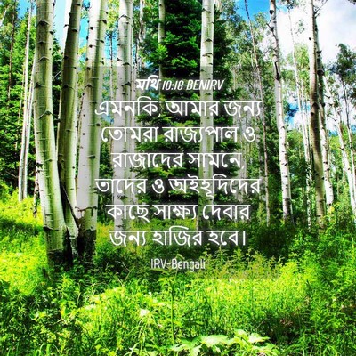 Picture 04 - মথি 10:18 BENIRV - এমনকি, আমার জন্য - Bible Verse Picture