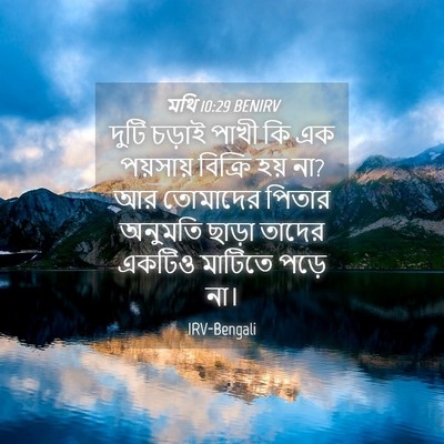 Picture 04 - মথি 10:29 BENIRV - দুটি চড়াই পাখী কি - Bible Verse Picture
