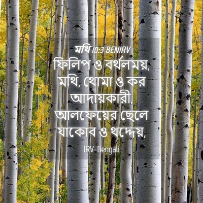 Picture 04 - মথি 10:3 BENIRV - ফিলিপ ও বর্থলময়, - Bible Verse Picture