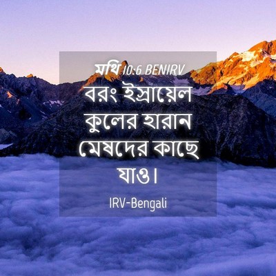 Picture 04 - মথি 10:6 BENIRV - বরং ইস্রায়েল - Bible Verse Picture