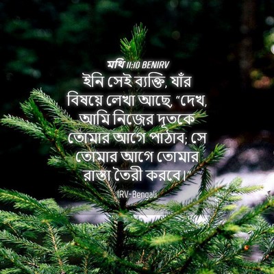 Picture 04 - মথি 11:10 BENIRV - ইনি সেই ব্যক্তি, - Bible Verse Picture
