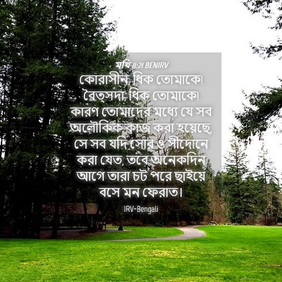 Picture 04 - মথি 11:21 BENIRV - কোরাসীন, ধিক - Bible Verse Picture
