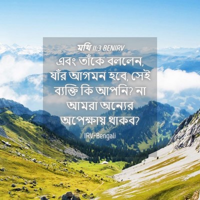 Picture 04 - মথি 11:3 BENIRV - এবং তাঁকে বললেন, - Bible Verse Picture