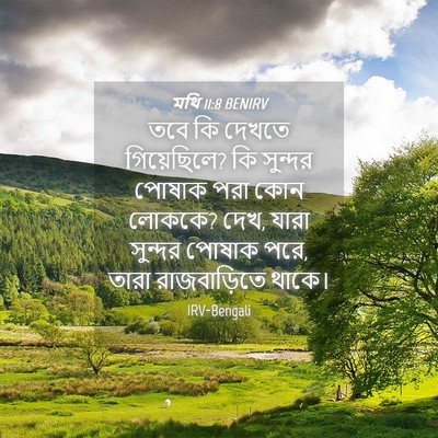 Picture 04 - মথি 11:8 BENIRV - তবে কি দেখতে - Bible Verse Picture