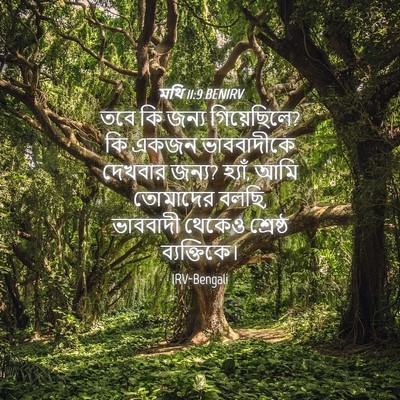 Picture 04 - মথি 11:9 BENIRV - তবে কি জন্য - Bible Verse Picture