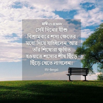 Picture 04 - মথি 12:1 BENIRV - সেই দিনের যীশু - Bible Verse Picture