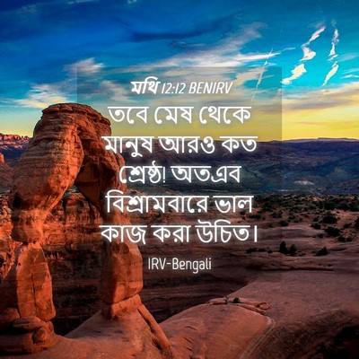Picture 04 - মথি 12:12 BENIRV - তবে মেষ থেকে মানুষ - Bible Verse Picture