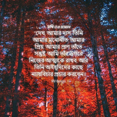 Picture 04 - মথি 12:18 BENIRV - “দেখ, আমার দাস, - Bible Verse Picture