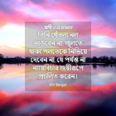 Picture 04 - মথি 12:20 BENIRV - তিনি থেঁতলা নল - Bible Verse Picture