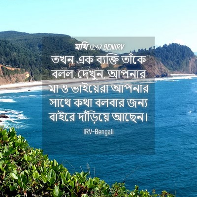 Picture 04 - মথি 12:47 BENIRV - তখন এক ব্যক্তি - Bible Verse Picture
