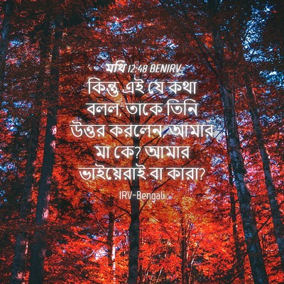 Picture 04 - মথি 12:48 BENIRV - কিন্তু এই যে কথা - Bible Verse Picture