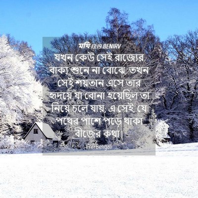 Picture 04 - মথি 13:19 BENIRV - যখন কেউ সেই - Bible Verse Picture