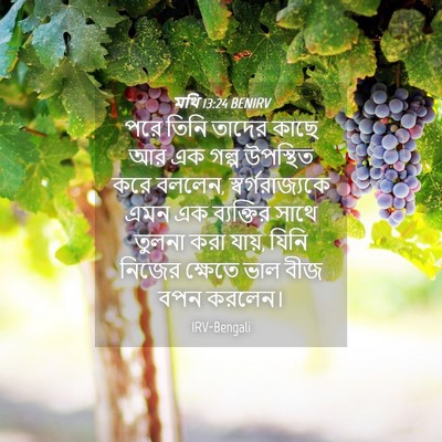 Picture 04 - মথি 13:24 BENIRV - পরে তিনি তাদের - Bible Verse Picture