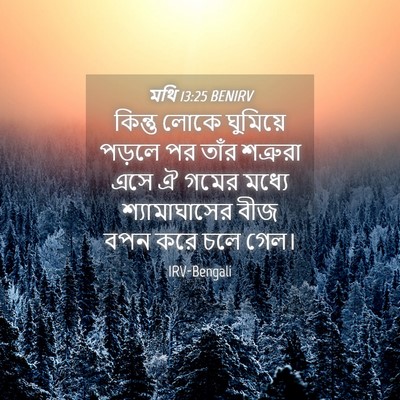 Picture 04 - মথি 13:25 BENIRV - কিন্তু লোকে - Bible Verse Picture
