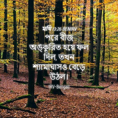 Picture 04 - মথি 13:26 BENIRV - পরে বীজ অঙ্কুরিত - Bible Verse Picture