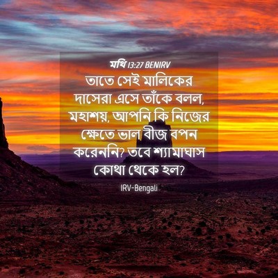 Picture 04 - মথি 13:27 BENIRV - তাতে সেই মালিকের - Bible Verse Picture