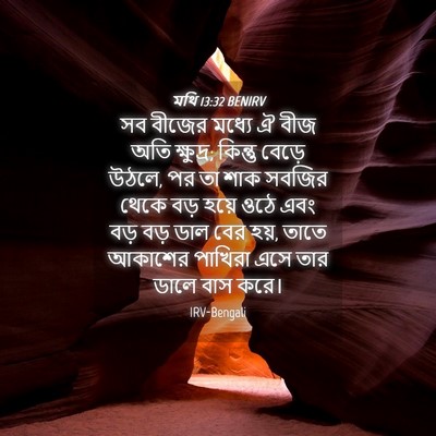 Picture 04 - মথি 13:32 BENIRV - সব বীজের মধ্যে ঐ - Bible Verse Picture