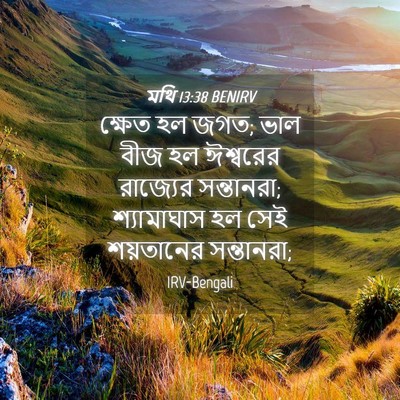 Picture 04 - মথি 13:38 BENIRV - ক্ষেত হল জগত; ভাল - Bible Verse Picture