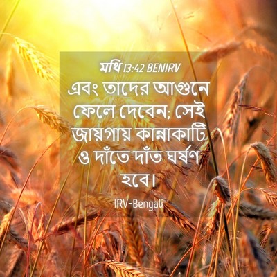 Picture 04 - মথি 13:42 BENIRV - এবং তাদের আগুনে - Bible Verse Picture