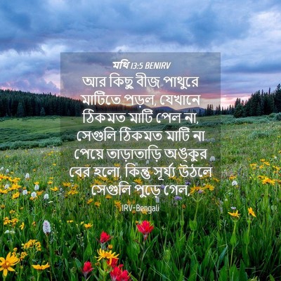 Picture 04 - মথি 13:5 BENIRV - আর কিছু বীজ পাথুরে - Bible Verse Picture