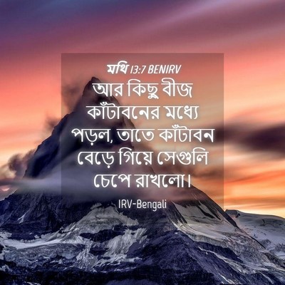 Picture 04 - মথি 13:7 BENIRV - আর কিছু বীজ - Bible Verse Picture