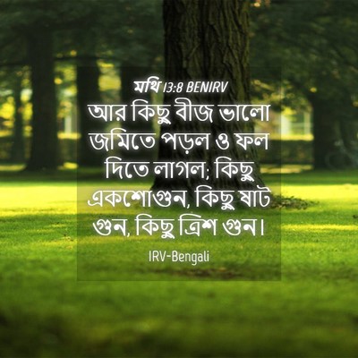 Picture 04 - মথি 13:8 BENIRV - আর কিছু বীজ ভালো - Bible Verse Picture