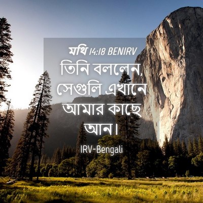 Picture 04 - মথি 14:18 BENIRV - তিনি বললেন, সেগুলি - Bible Verse Picture