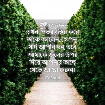 Picture 04 - মথি 14:28 BENIRV - তখন পিতর উত্তর করে - Bible Verse Picture