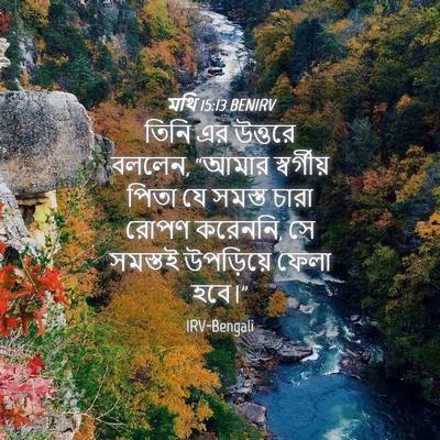 Picture 04 - মথি 15:13 BENIRV - তিনি এর উত্তরে - Bible Verse Picture