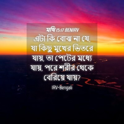 Picture 04 - মথি 15:17 BENIRV - এটা কি বোঝ না যে, যা - Bible Verse Picture