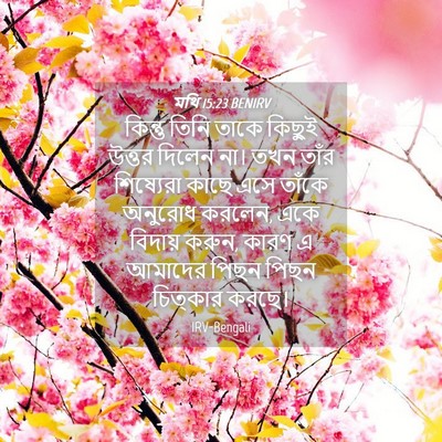 Picture 04 - মথি 15:23 BENIRV - কিন্তু তিনি তাকে - Bible Verse Picture